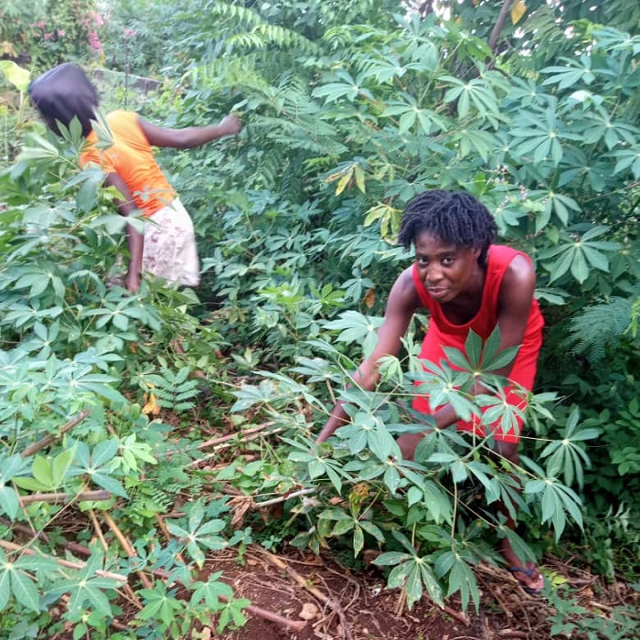 “portadaproyecto”